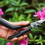 Azalea care