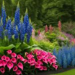 Calla Lily companion plants