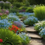 Forget-Me-Not companion plants